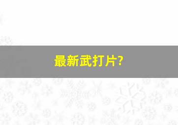 最新武打片?