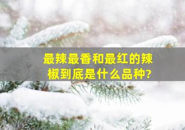 最辣,最香,和最红的辣椒到底是什么品种?