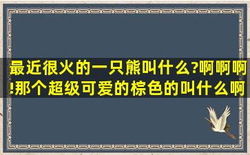 最近很火的一只熊叫什么?啊啊啊!那个超级可爱的,棕色的叫什么啊啊啊...