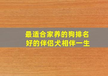 最适合家养的狗排名 好的伴侣犬相伴一生