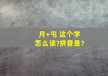 月+屯 这个字怎么读?拼音是?