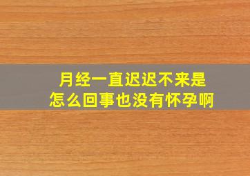 月经一直迟迟不来是怎么回事,也没有怀孕啊