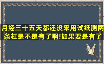 月经三十五天都还没来,用试纸测两条杠,是不是有了啊!如果要是有了的...