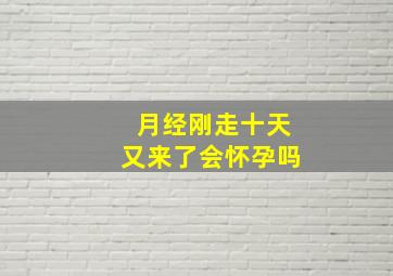 月经刚走十天又来了会怀孕吗