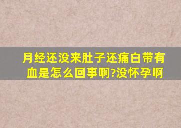 月经还没来,肚子还痛,白带有血是怎么回事啊?没怀孕啊