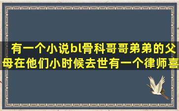 有一个小说bl骨科哥哥弟弟的父母在他们小时候去世,有一个律师喜欢...