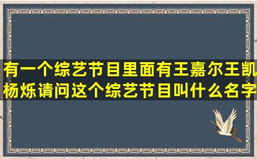 有一个综艺节目,里面有王嘉尔,王凯,杨烁,请问这个综艺节目叫什么名字?