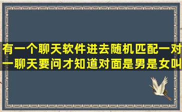 有一个聊天软件,进去随机匹配一对一聊天,要问才知道对面是男是女,叫...