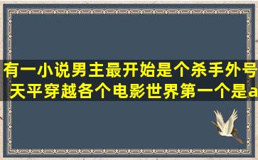 有一小说,男主最开始是个杀手外号天平,穿越各个电影世界,第一个是<...