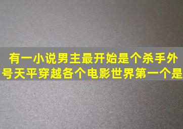 有一小说男主最开始是个杀手外号天平穿越各个电影世界第一个是<