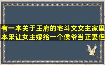 有一本关于王府的宅斗文,女主家里本来让女主嫁给一个侯爷当正妻,但...