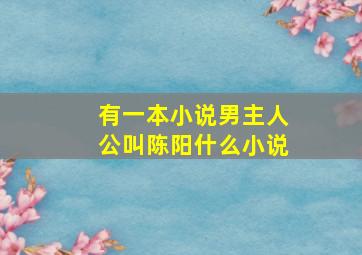 有一本小说,男主人公叫陈阳,什么小说