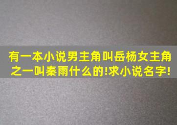 有一本小说男主角叫岳杨女主角之一叫秦雨什么的!求小说名字!