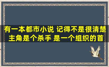 有一本都市小说 记得不是很清楚 主角是个杀手 是一个组织的首领