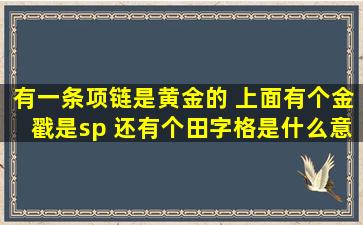 有一条项链是黄金的 上面有个金戳是sp 还有个田字格是什么意思