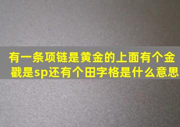 有一条项链是黄金的上面有个金戳是sp还有个田字格是什么意思