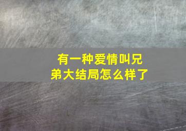 有一种爱情叫兄弟大结局怎么样了