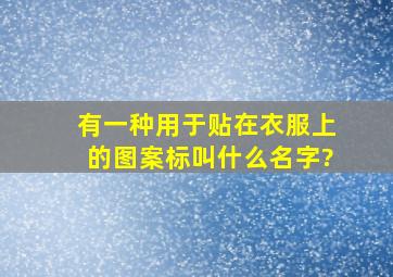 有一种用于贴在衣服上的图案标,叫什么名字?