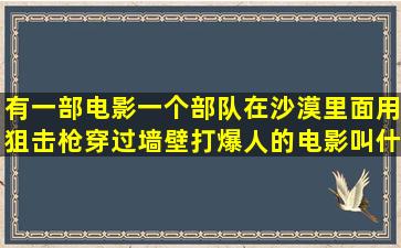 有一部电影一个部队在沙漠里面用狙击枪穿过墙壁打爆人的电影叫什么