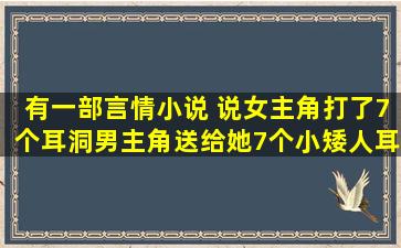 有一部言情小说 说女主角打了7个耳洞男主角送给她7个小矮人耳环的...