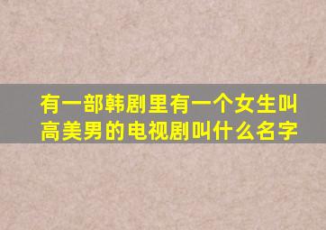 有一部韩剧里有一个女生叫高美男的电视剧叫什么名字(