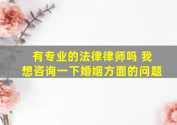 有专业的法律律师吗 我想咨询一下婚姻方面的问题