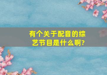 有个关于配音的综艺节目是什么啊?