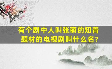 有个剧中人叫张萌的知青题材的电视剧叫什么名?