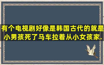 有个电视剧,好像是韩国古代的,就是小男孩死了,马车拉着从小女孩家...