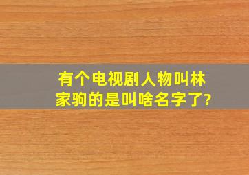 有个电视剧人物叫林家驹的是叫啥名字了?