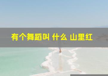 有个舞蹈叫 什么 山里红