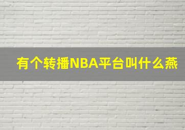 有个转播NBA平台叫什么燕(