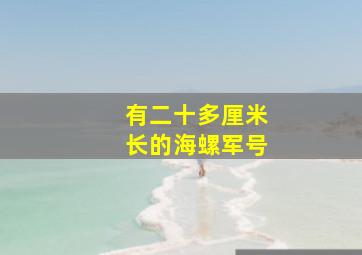 有二十多厘米长的海螺军号