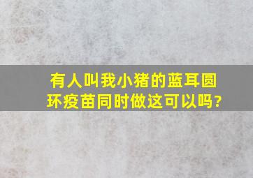 有人叫我小猪的蓝耳、;圆环疫苗同时做,这可以吗?