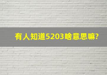 有人知道5203啥意思嘛?