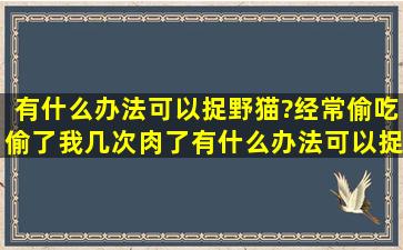 有什么办法可以捉野猫?经常偷吃,偷了我几次肉了,有什么办法可以捉,...