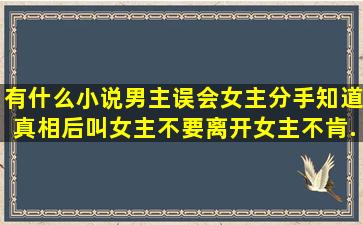 有什么小说,男主误会女主,分手,知道真相后,叫女主不要离开,女主不肯...