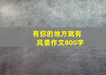 有你的地方就有风景作文800字