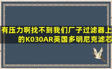 有压力啊,找不到我们厂子过滤器上的K030AR英国多明尼克滤芯,怎么办?