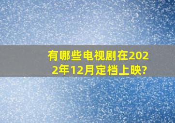 有哪些电视剧在2022年12月定档上映?