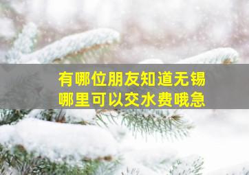 有哪位朋友知道无锡哪里可以交水费哦,急