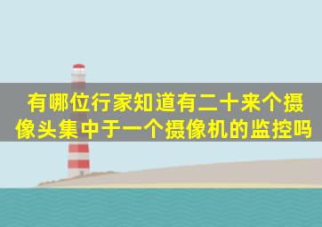 有哪位行家知道有二十来个摄像头集中于一个摄像机的监控吗