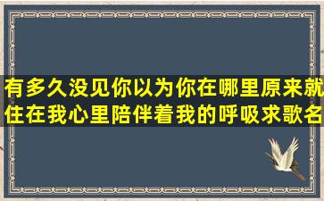 有多久没见你以为你在哪里原来就住在我心里陪伴着我的呼吸求歌名