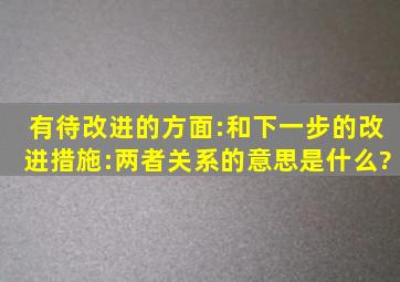 有待改进的方面:和下一步的改进措施:两者关系的意思是什么?