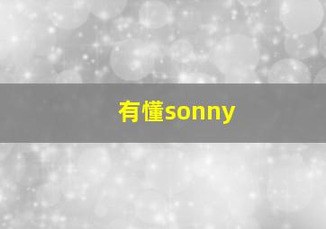 有懂sonny