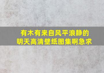 有木有来自风平浪静的明天高清壁纸图集啊急求