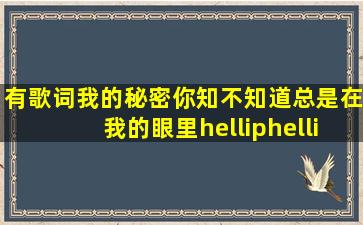 有歌词我的秘密你知不知道,总是在我的眼里……这是什么歌