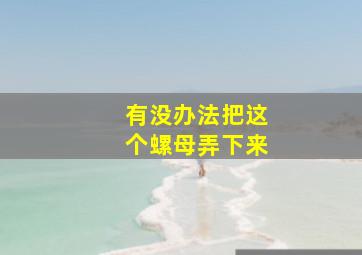 有没办法把这个螺母弄下来