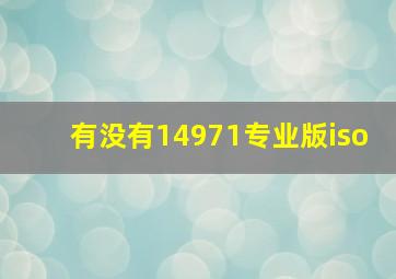 有没有14971专业版iso