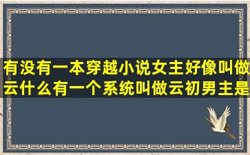 有没有一本穿越小说女主好像叫做云什么有一个系统叫做云初男主是个...